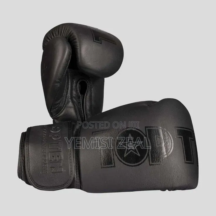 Top Ten Boxing Gloves