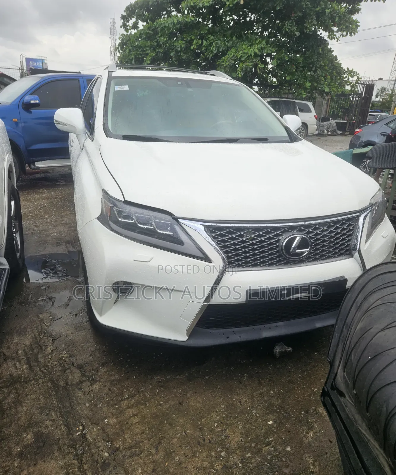 Lexus RX 2013 White