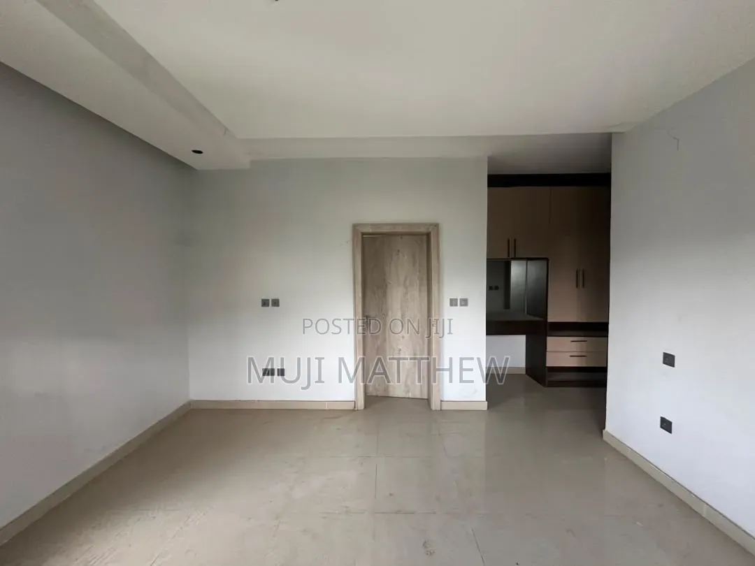 Furnished 4bdrm Duplex in Asokoro for rent
