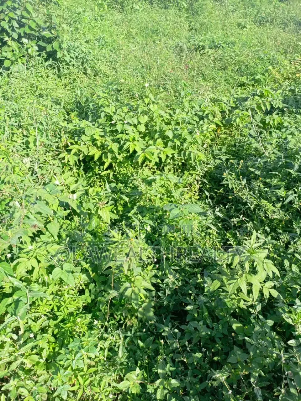 2,632sqm Residential Land at Guzape Main