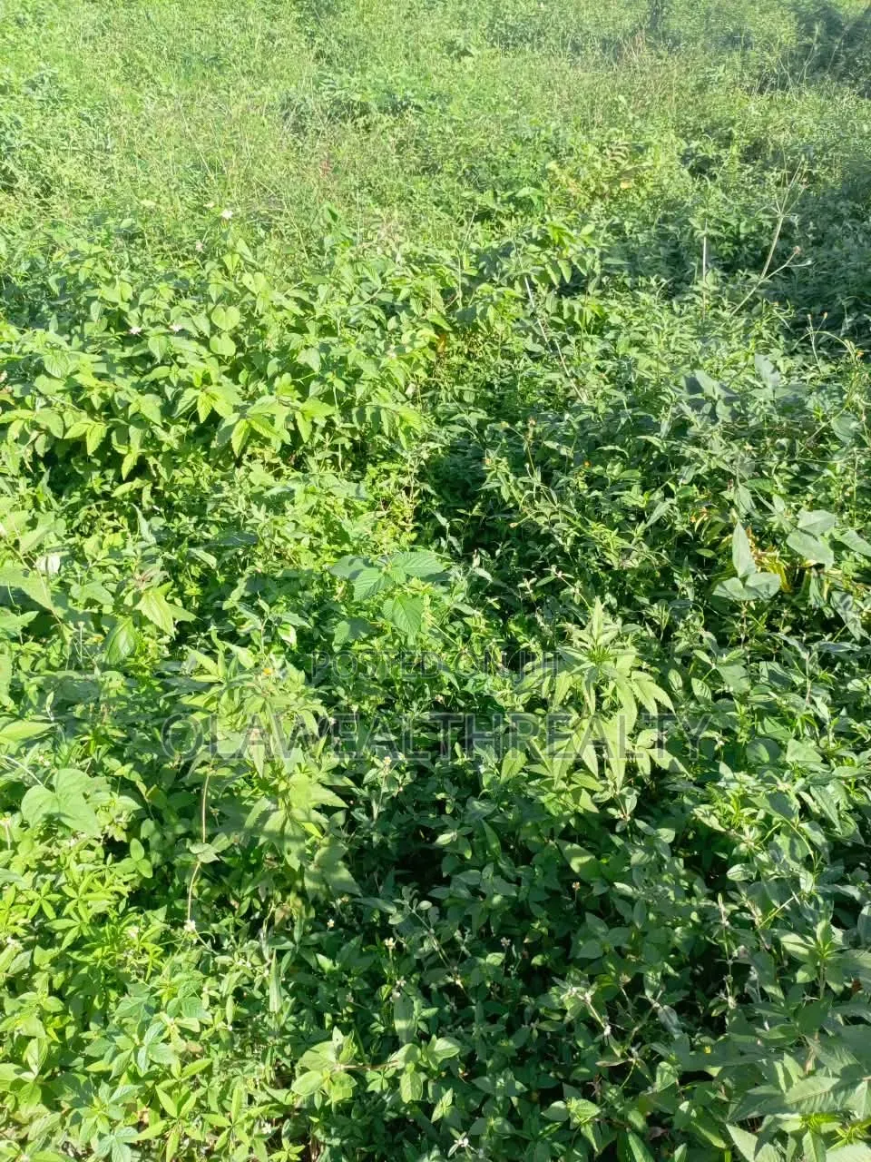 2,632sqm Residential Land at Guzape Main