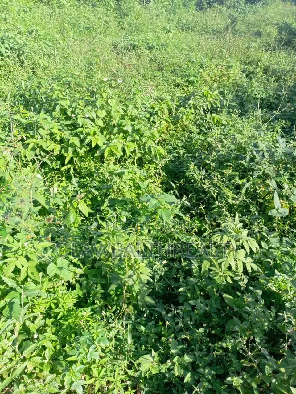 3,475sqm Residential Land at Asokoro