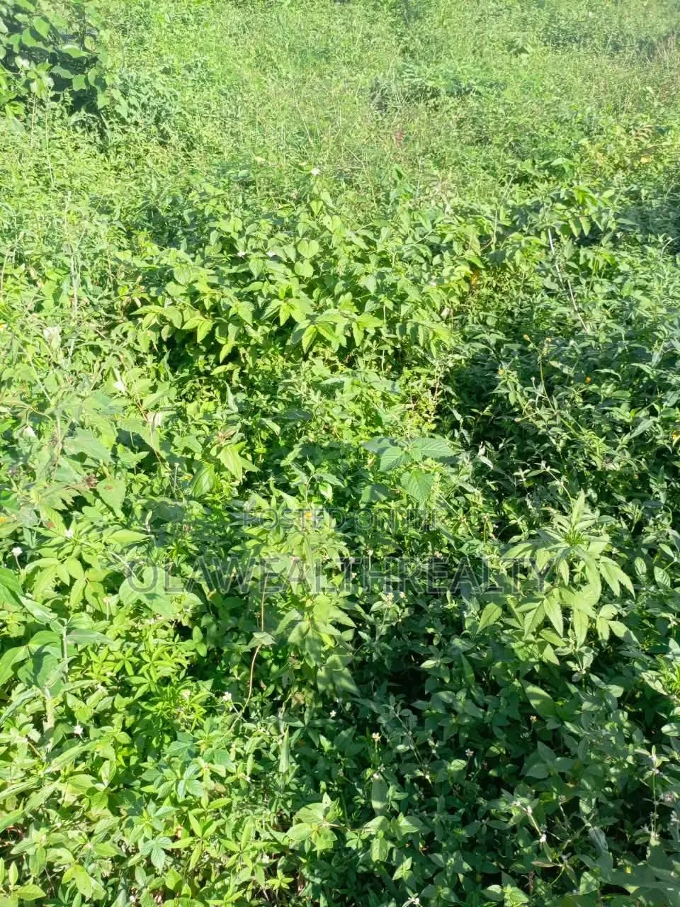 3,475sqm Residential Land at Asokoro