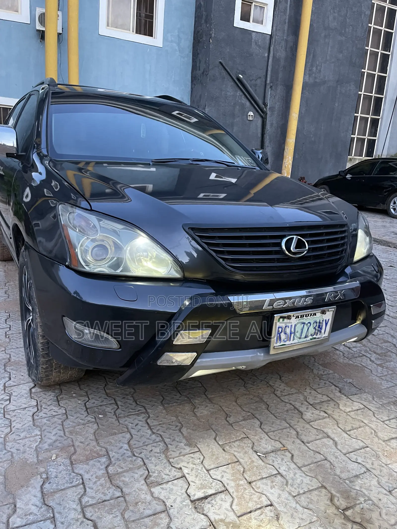 Lexus RX 330 AWD 2006 Gray