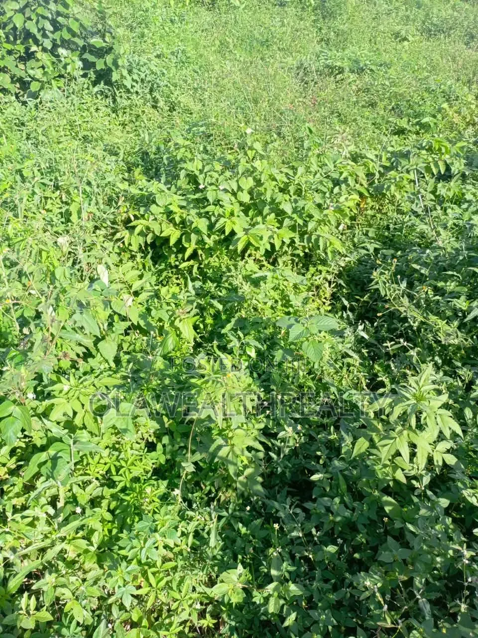 1 Hectare Mixed-Use Land at Kubwa