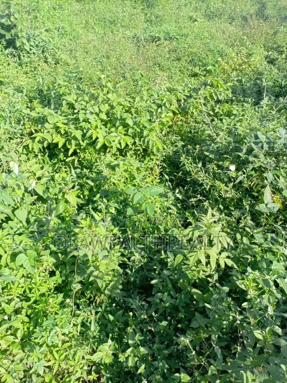 1 Hectare Mixed-Use Land at Kubwa