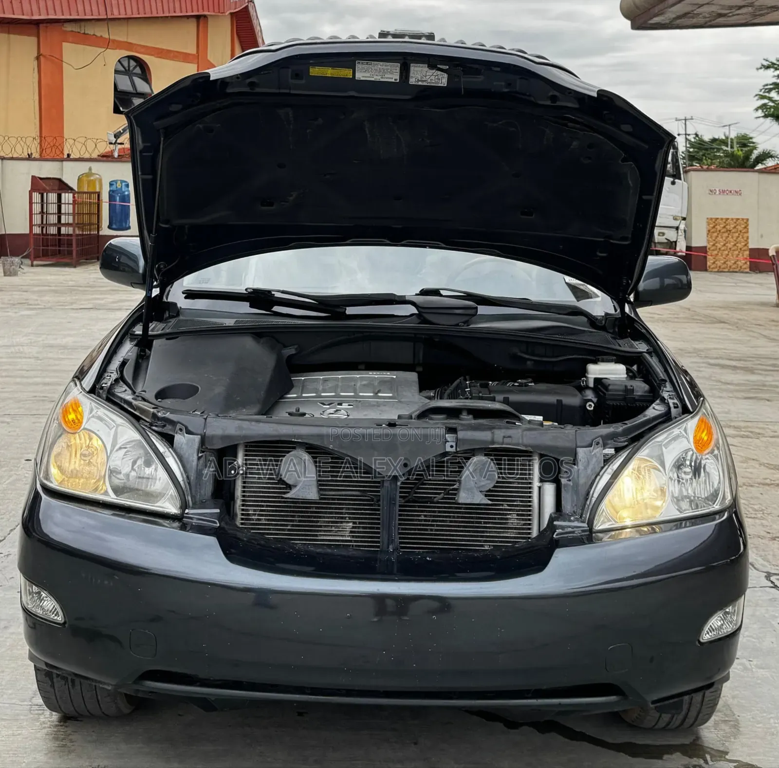 Lexus RX 2008 Gray