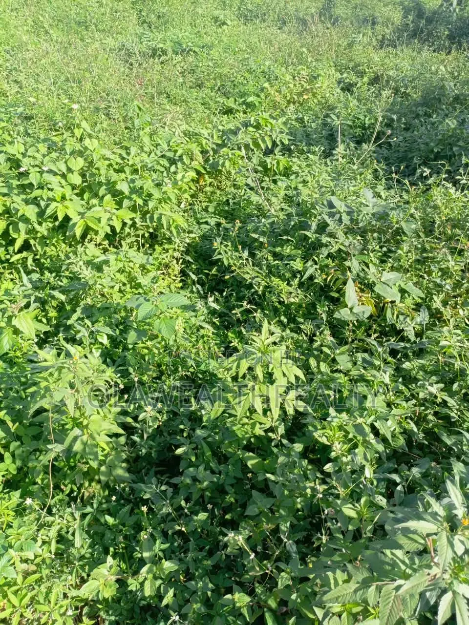 1,000sqm Residential Land at NafValley Estate, Asokoro