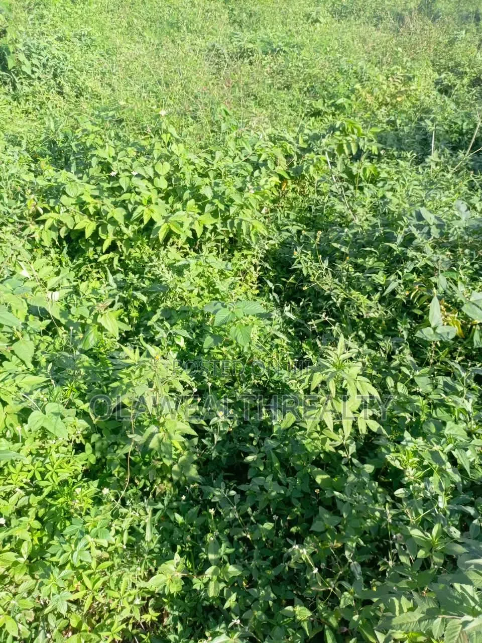 1,000sqm Residential Land at NafValley Estate, Asokoro