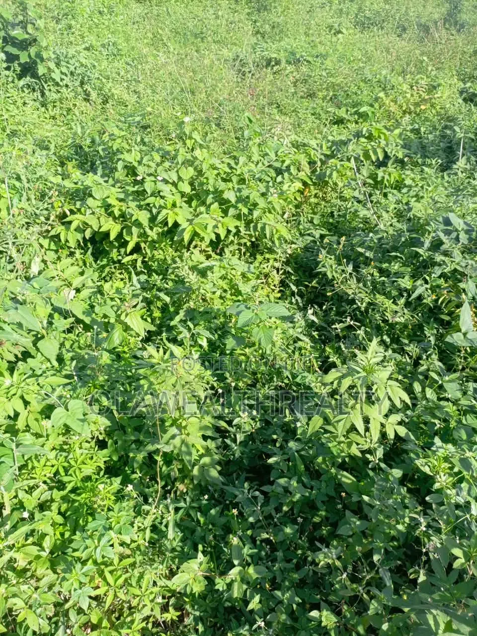 2,400sqm Residential Land at Utako