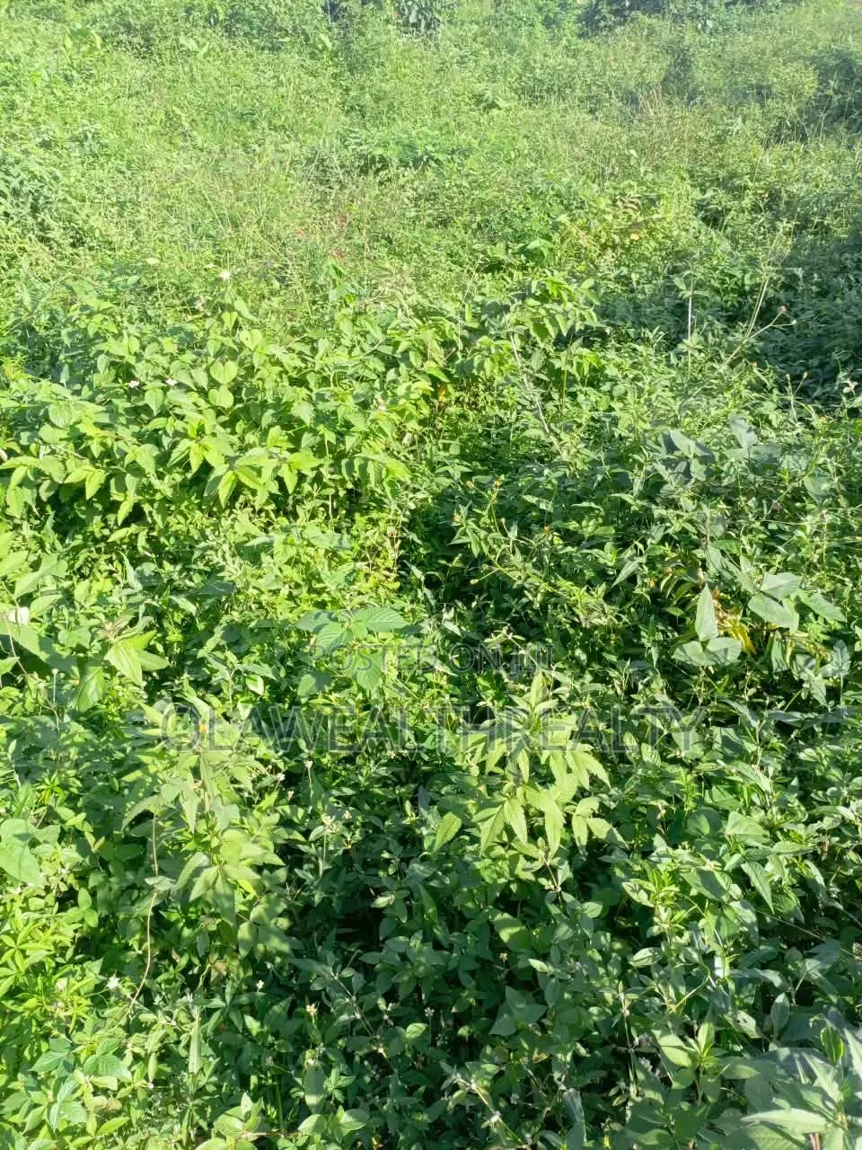 2,400sqm Residential Land at Utako