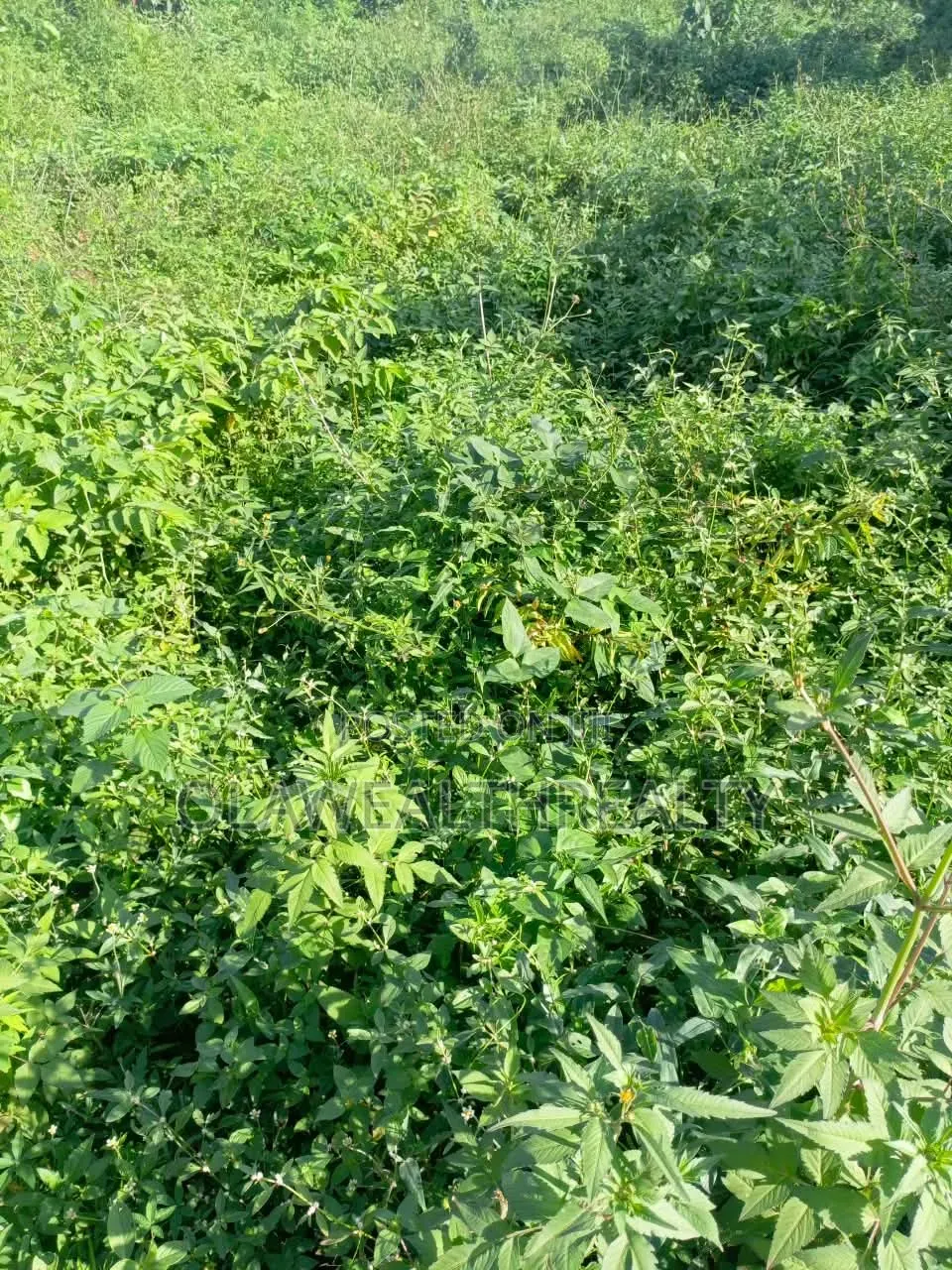 7,700sqm Hotel Land at Mabushi