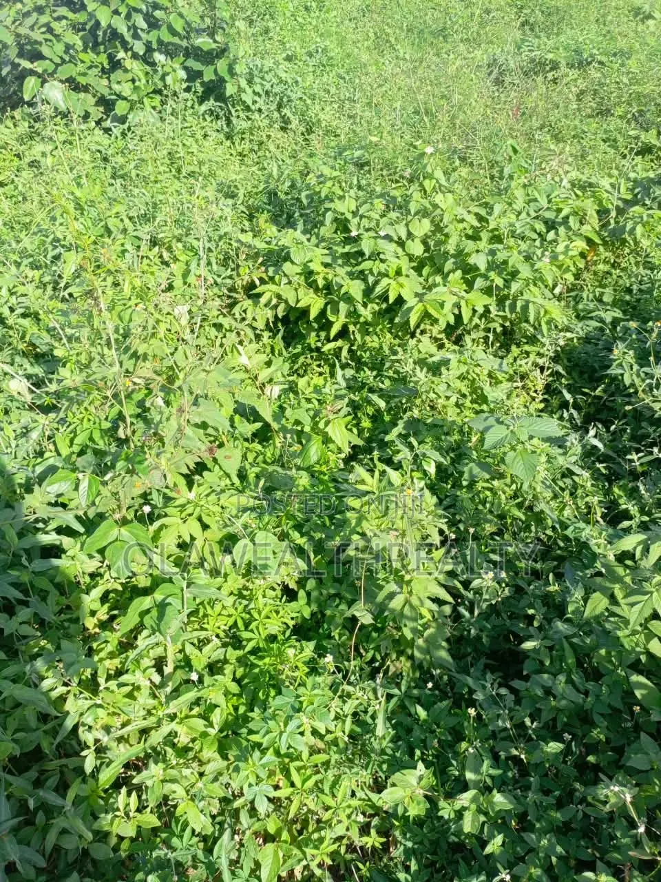 1,800sqm Residential Land at Kaura
