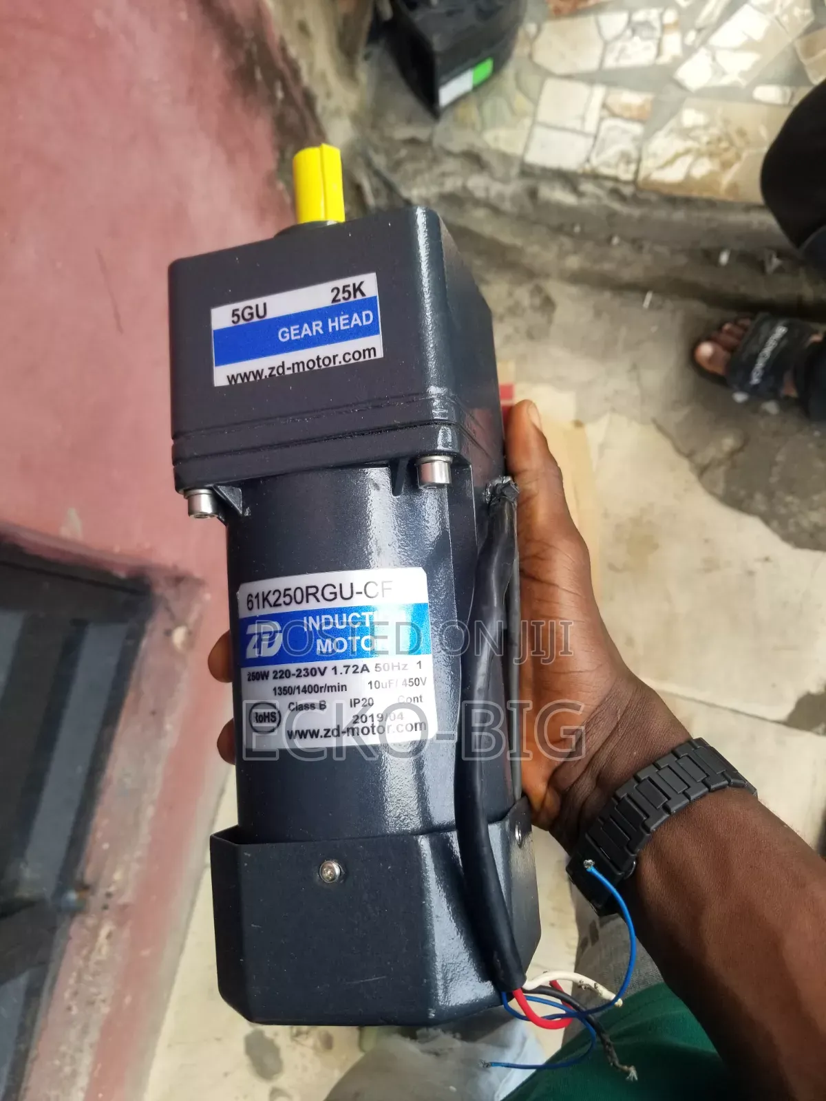 ZD Motor 250W Induction Gear Motor