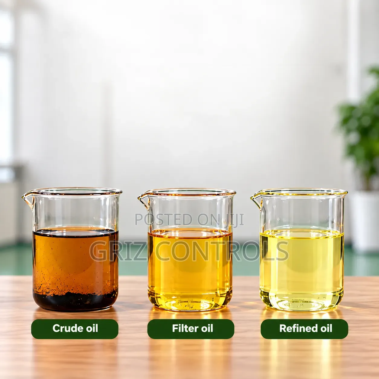 GRIZ CONTROLS Edible Oil Processing Plant | Oil Press and Refinery