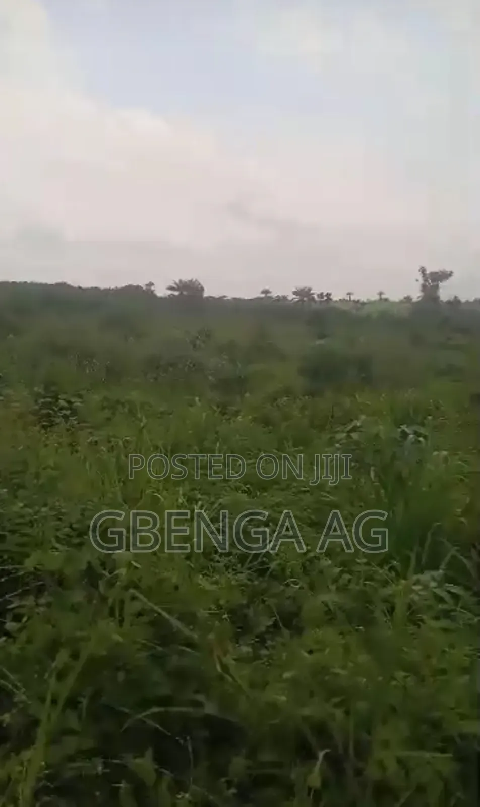 12 Acres of Land Behind International Brew Off Sagamu -Abeokuta Exp