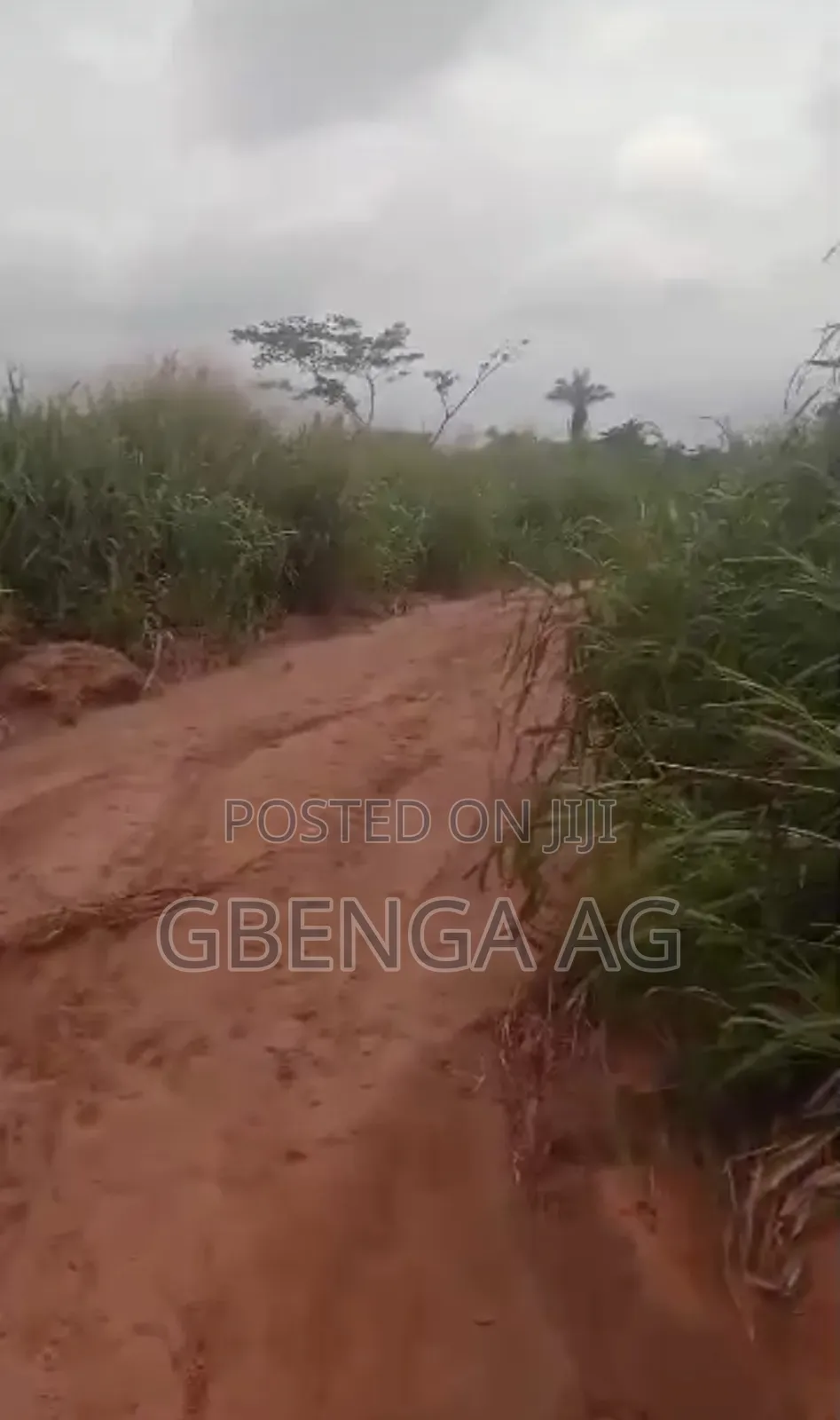 130 Acres Before International Brew Sagamu -Abeokuta Exp