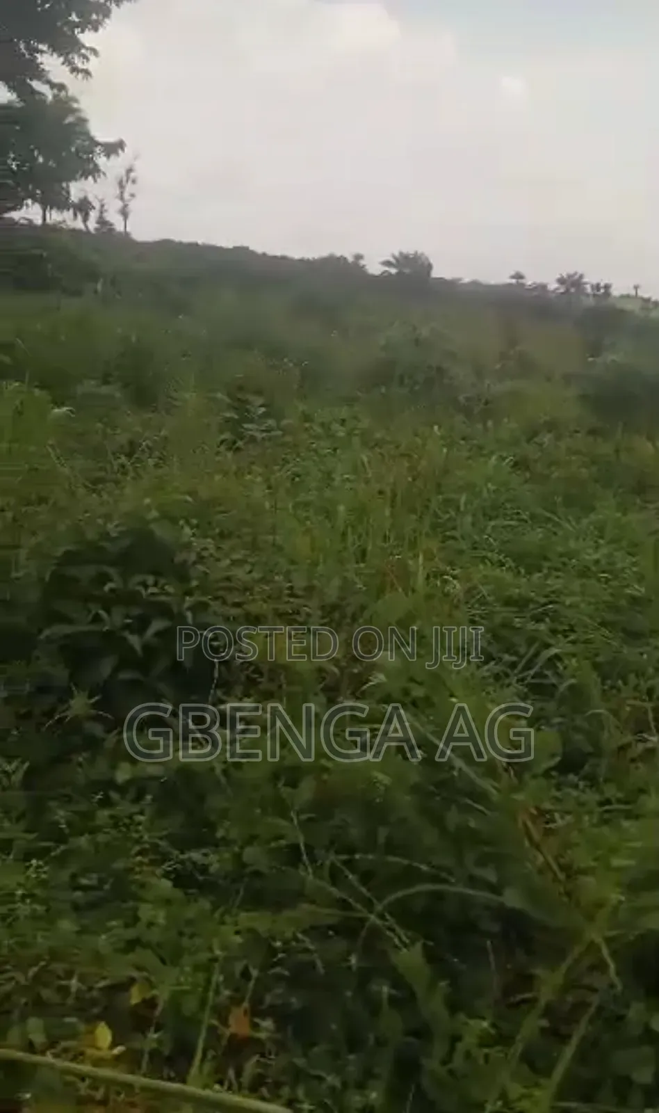 130 Acres Before International Brew Sagamu -Abeokuta Exp