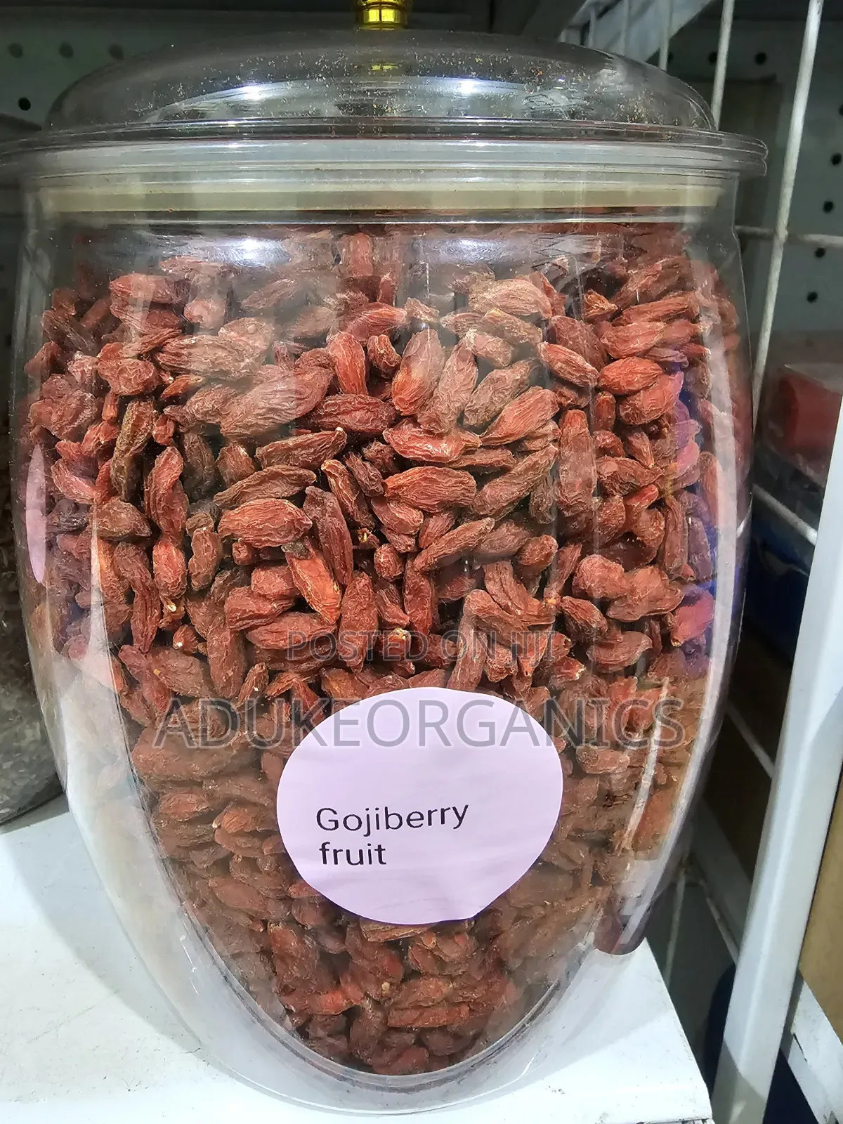 Gojiberry Wolfberry Fruit 100g Pack