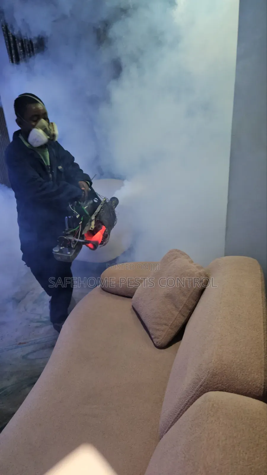 Affordable Pest Control Services in Lagos