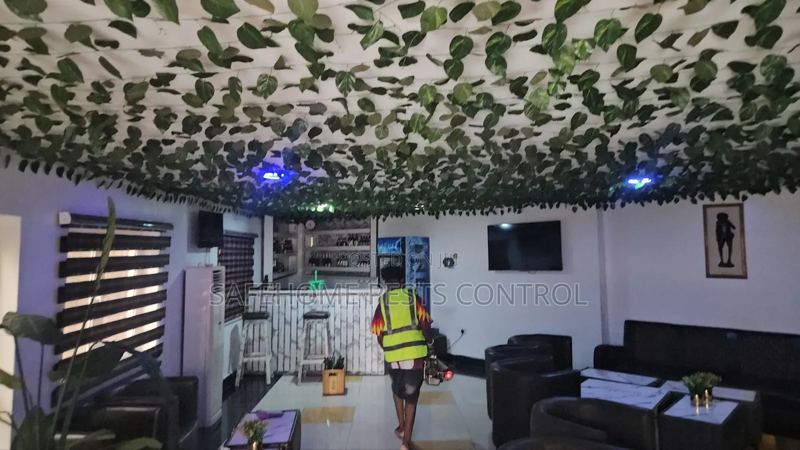 Ant Control Insect Treatment Lagos
