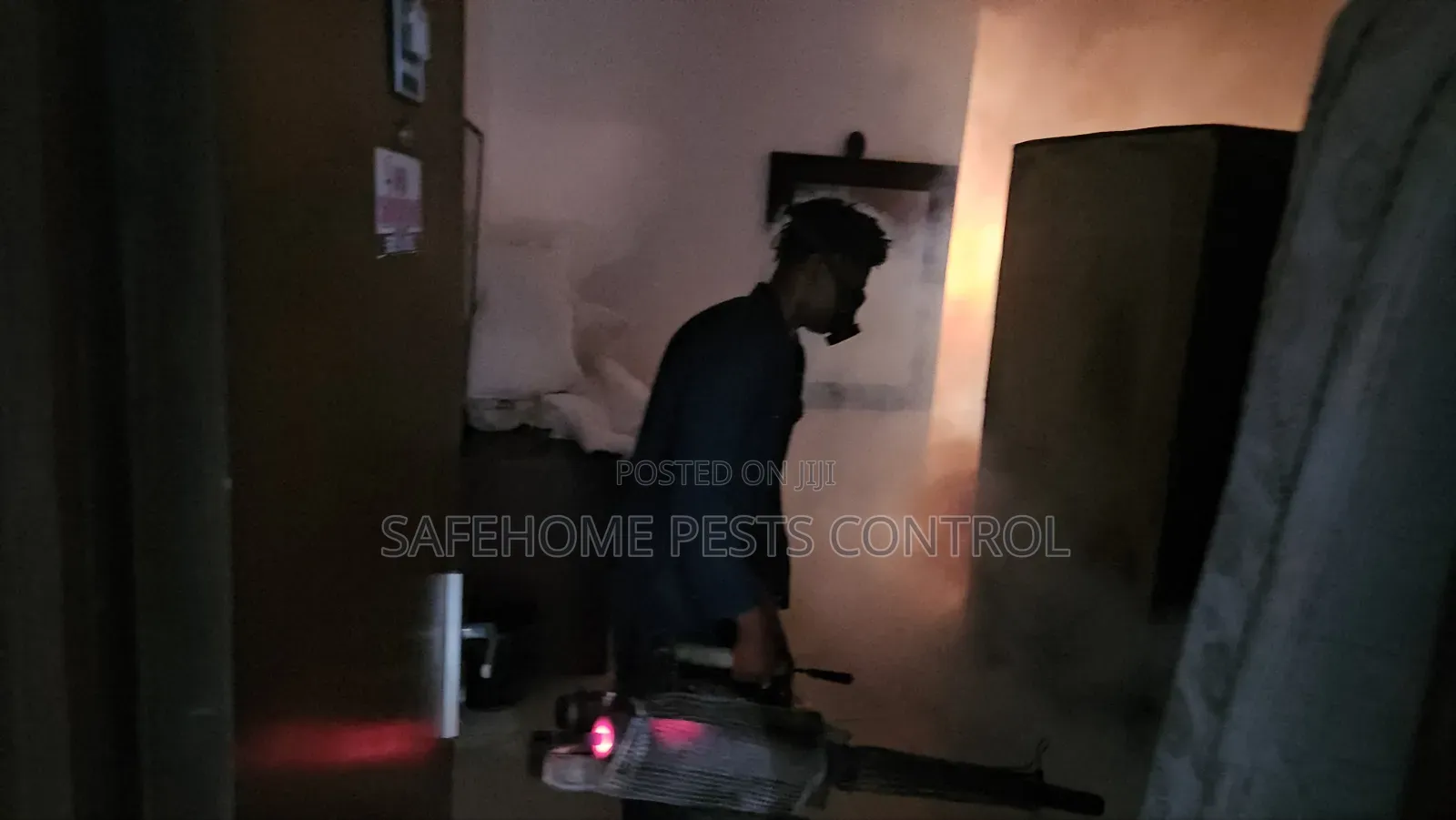 Serious Rat Infestation? Professional Control Lagos