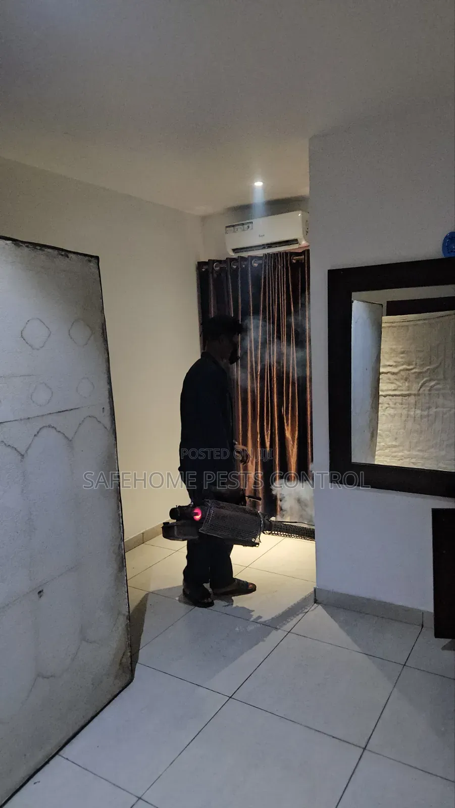 Serious Rat Infestation? Professional Control Lagos