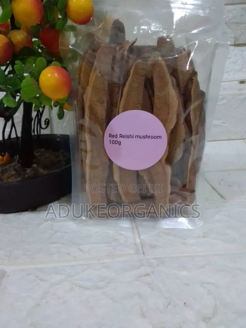Red Reishi Mushroom Slice 100g