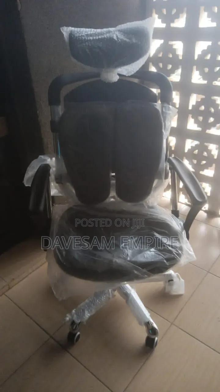 Healthy Executive Ergonomic Office Mesh Chair