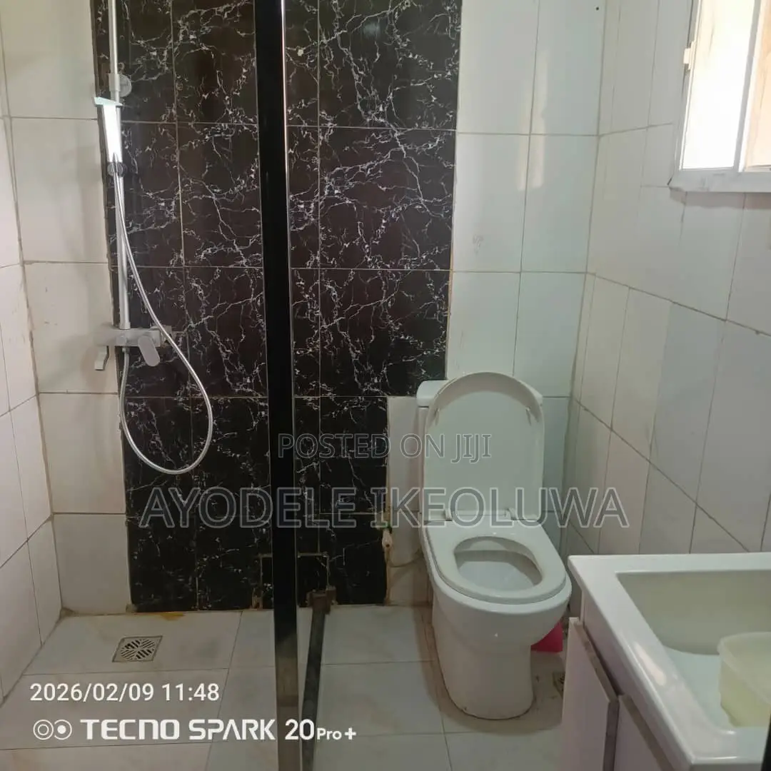 Furnished Mini Flat in Omole Phase 1 for rent