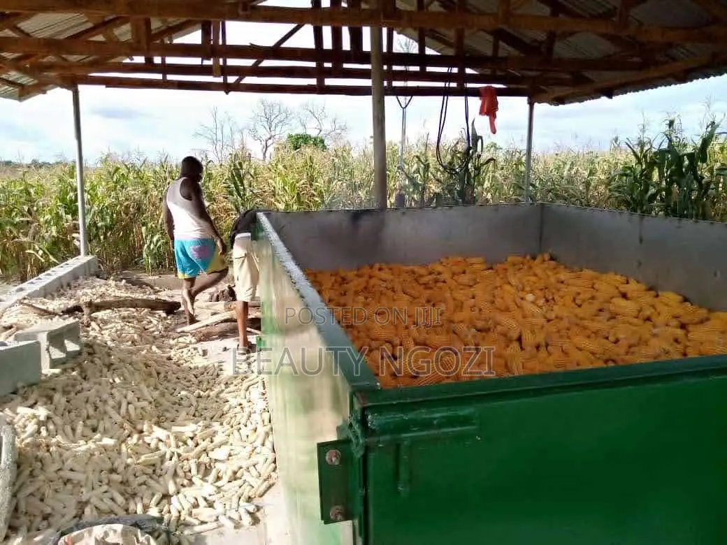 Grain Drying Machine