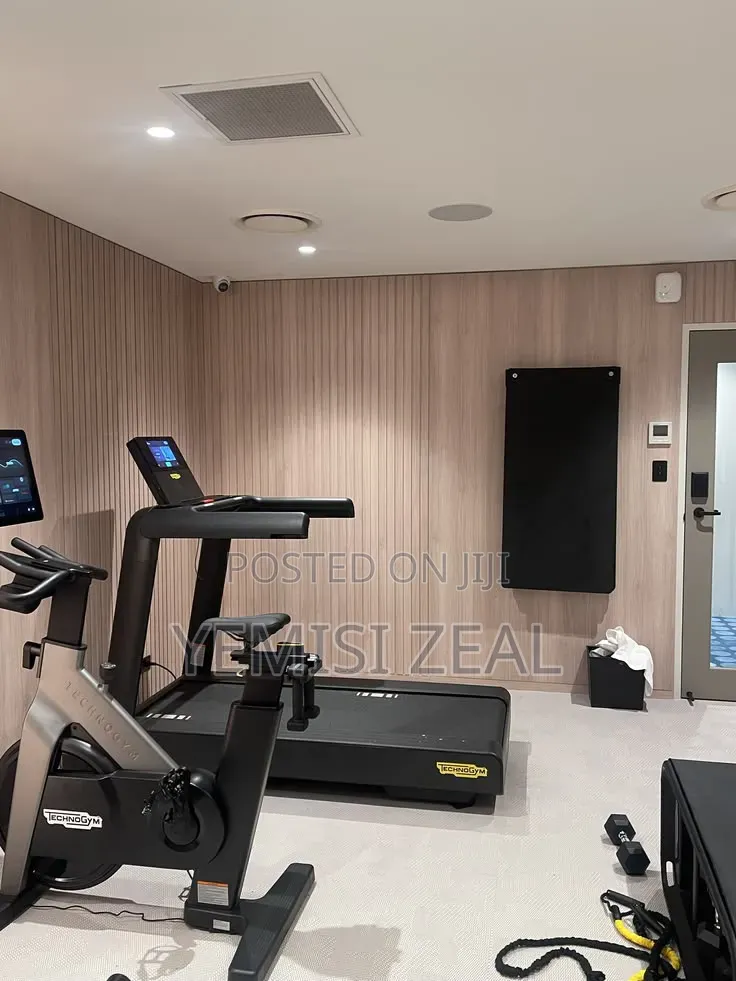 Standard 6hp American Fitness Cardio Treadmill With Heavy Duty Bike