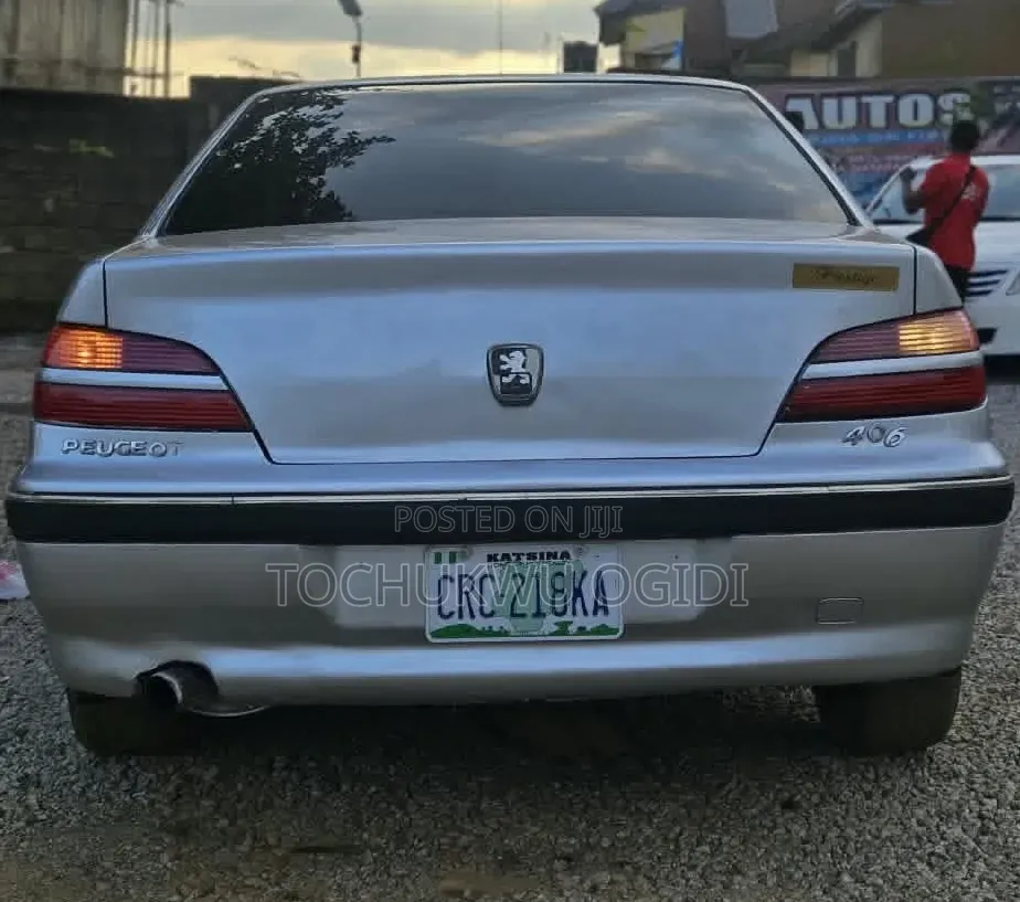 Peugeot 406 2005 Silver
