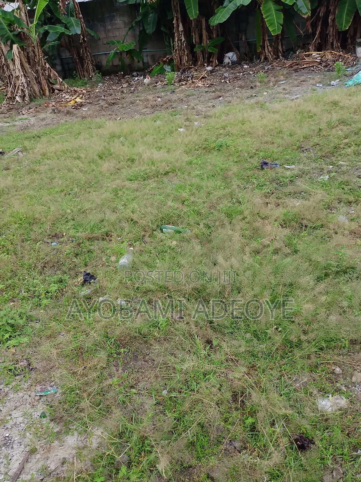 A Plot of Fenced With Borehole for Lease at Adeba Lakowe
