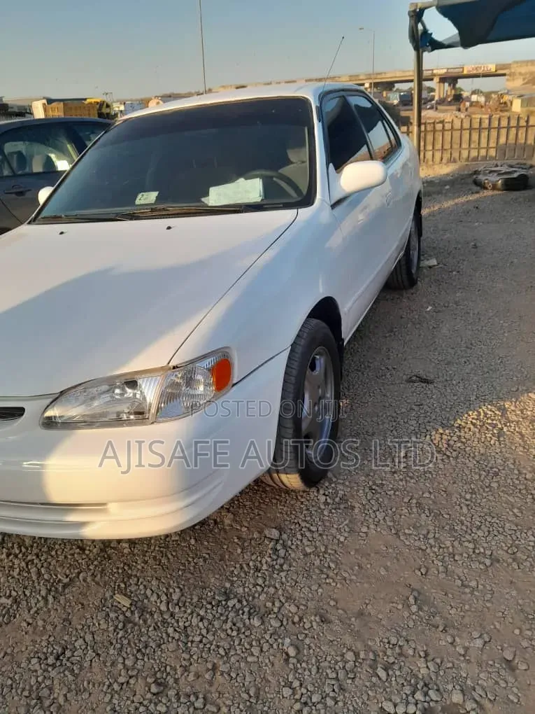 Toyota Corolla 1999 White