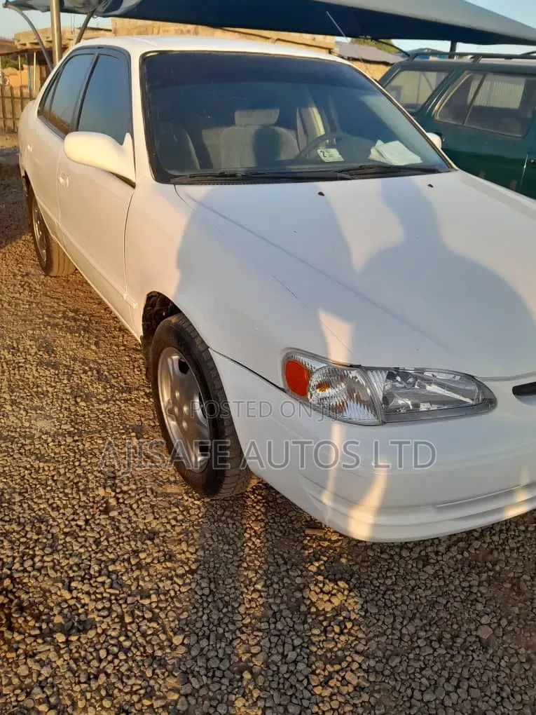 Toyota Corolla 1999 White