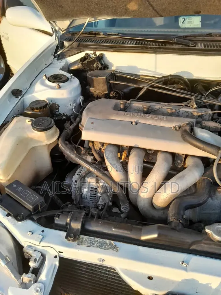 Toyota Corolla 1999 White