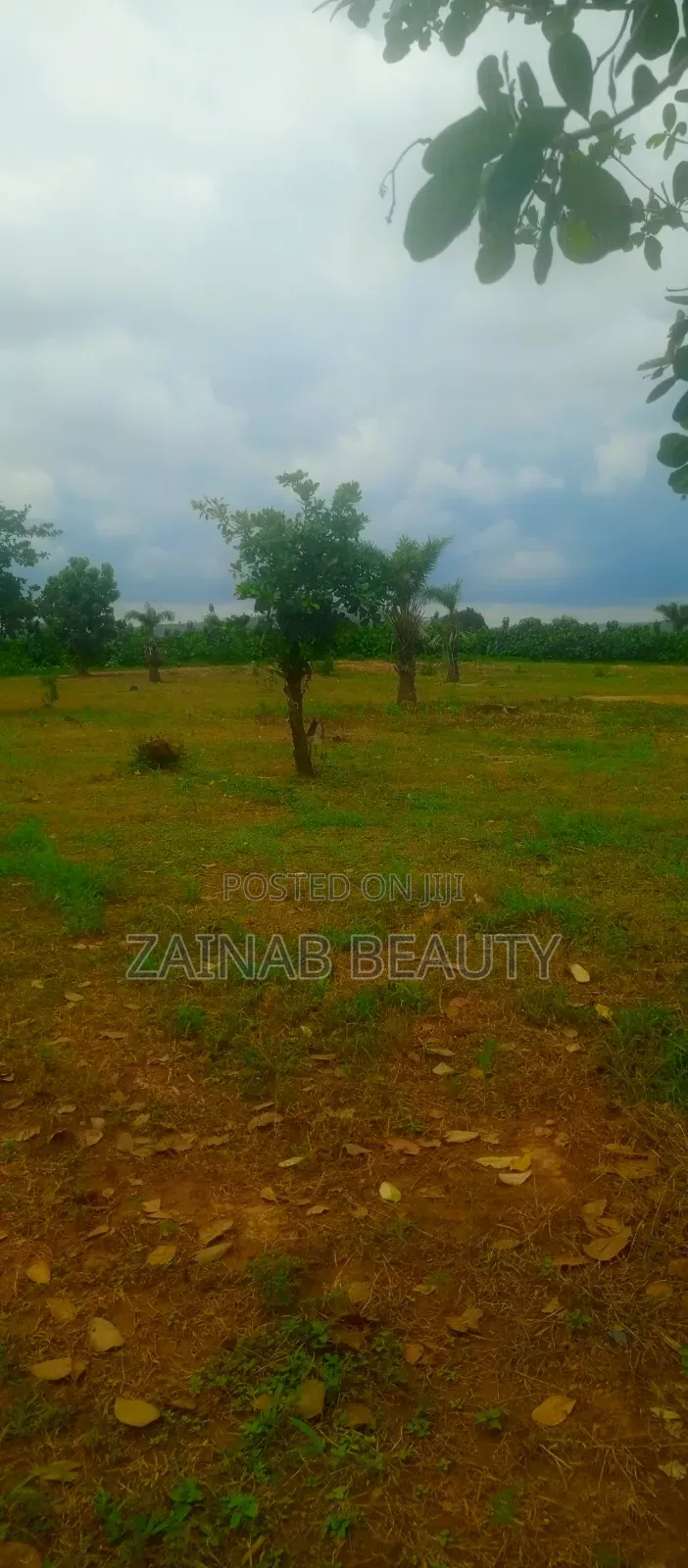 200sqmEstate Land for 3-Bedroom Terrace Duplex With RofO
