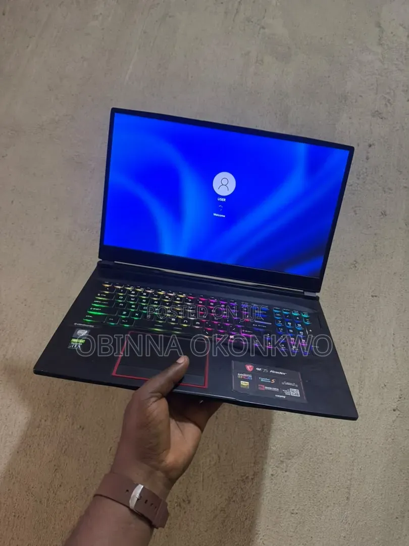 Laptop MSI GE75 Raider 10SE 16GB Intel Core i7 SSD 512GB