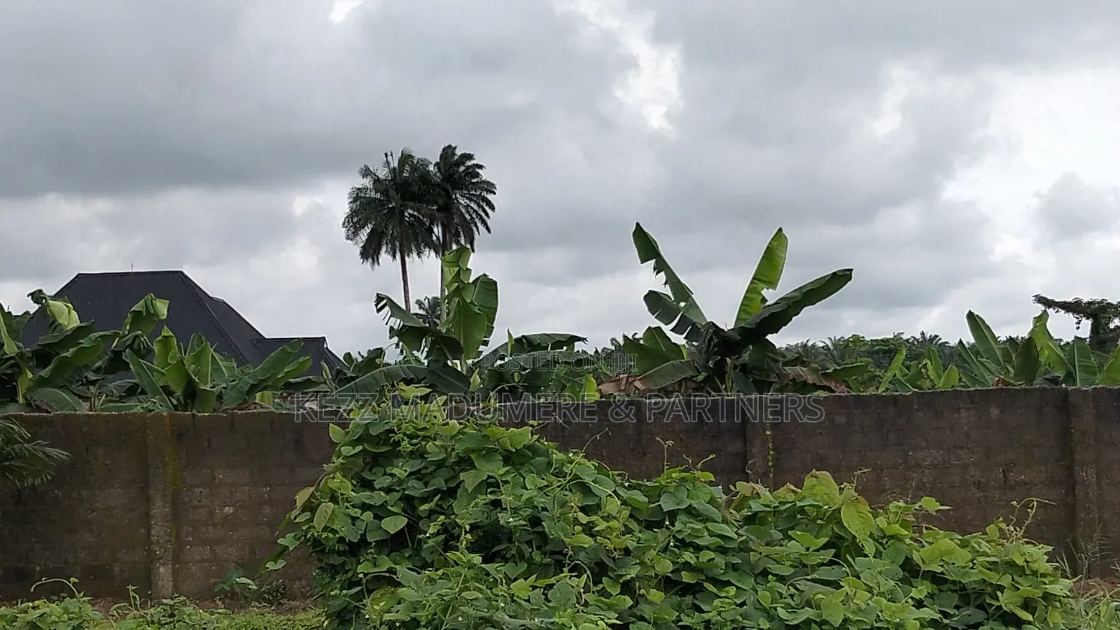 For Sale : Cofo 198 Plots Redeem Camp Rd, Off C4i Check Point, Ph