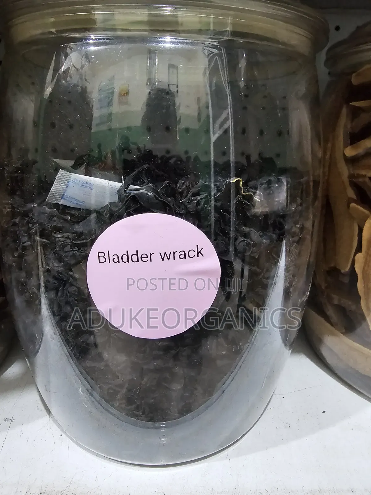 Bladderwrack Seaweed