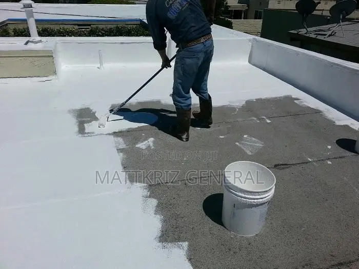 Call Us for Your Bad Leakage Roof Repair Now