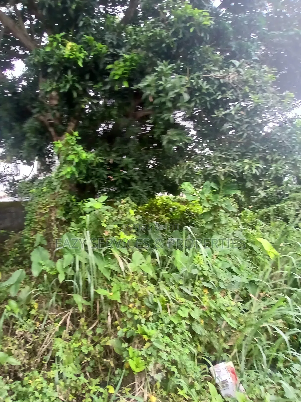 800sqm of Land (Fenced Gated) With C of O in Ajah