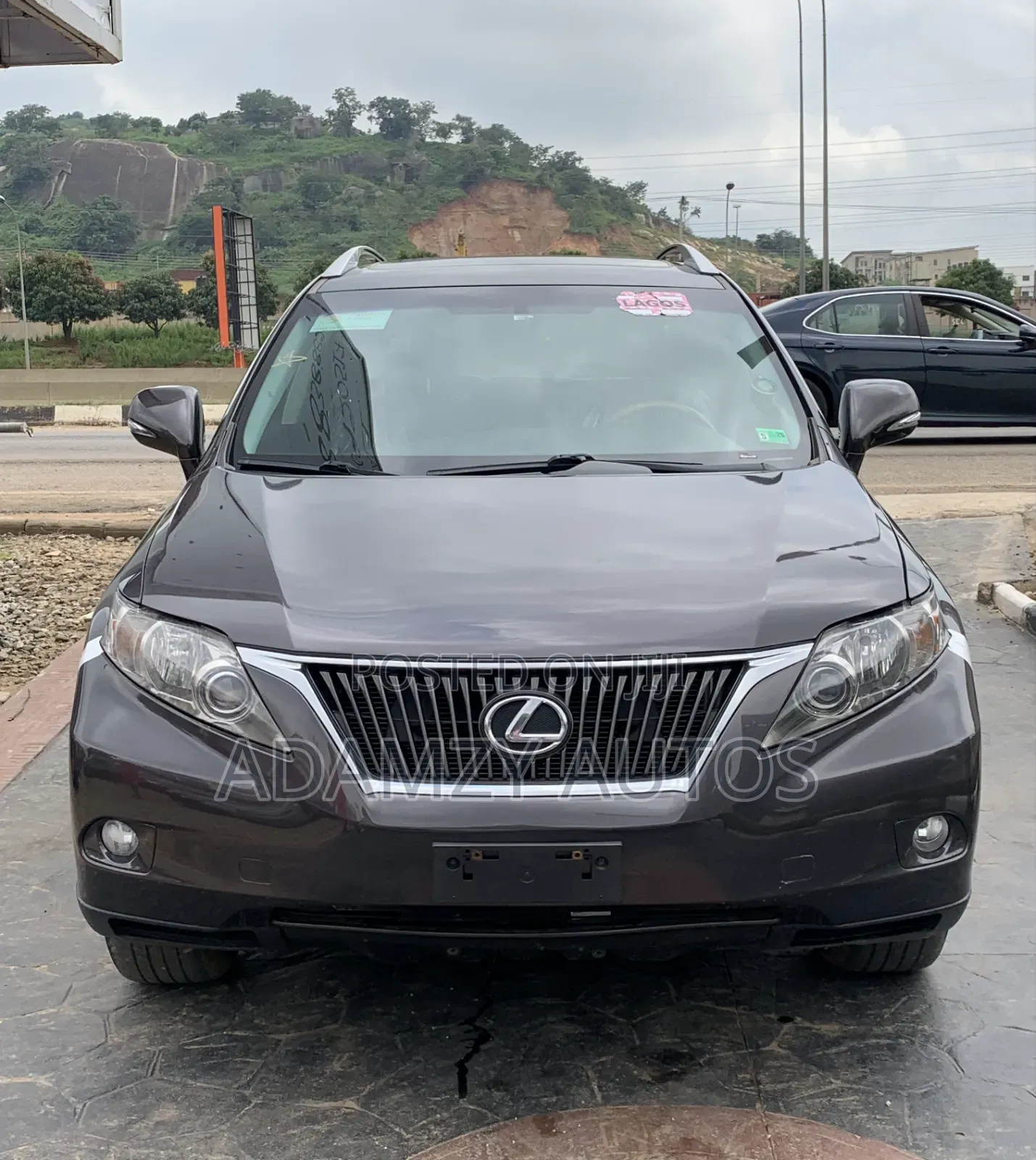 Lexus RX 2010 Gray