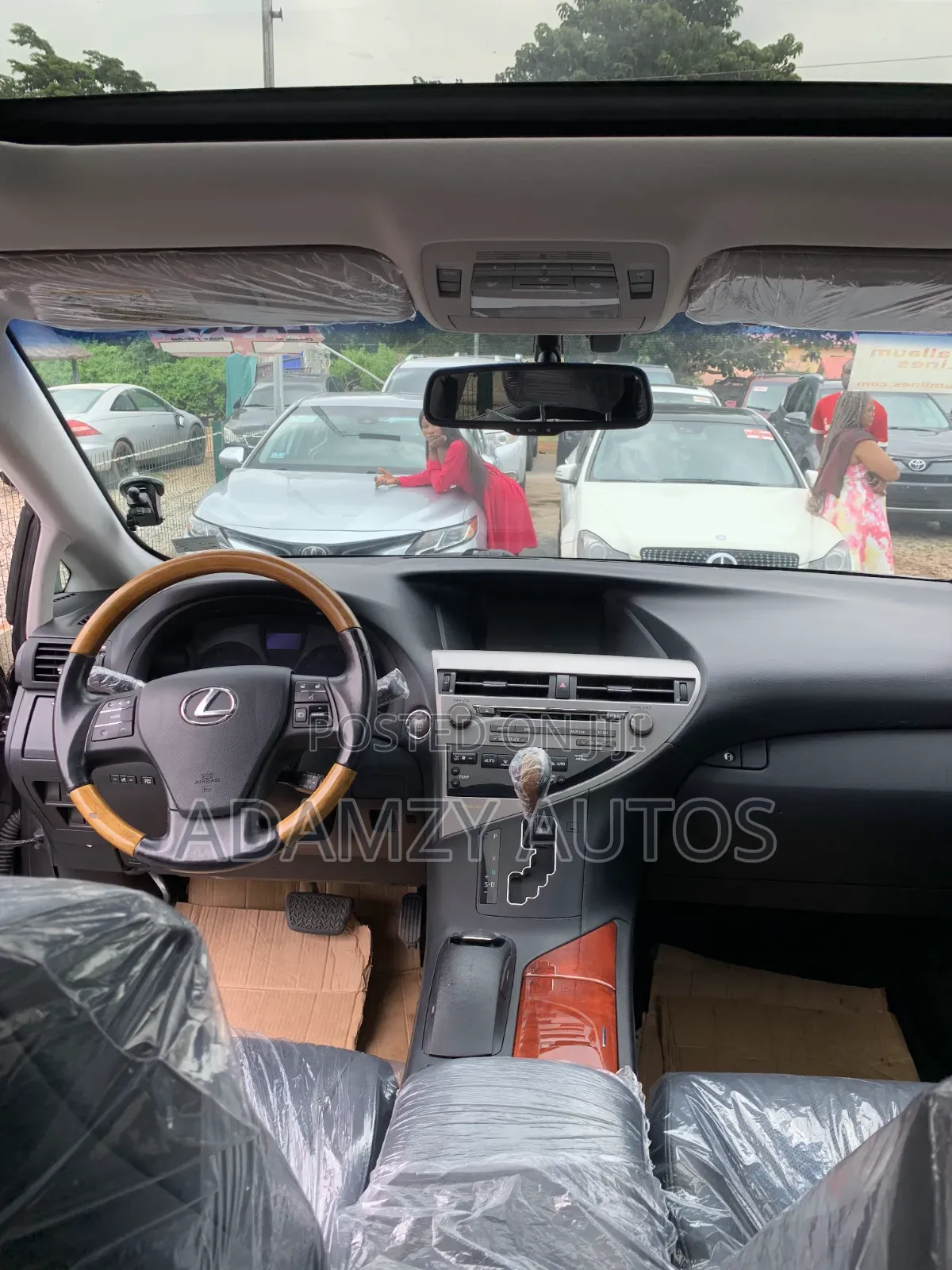 Lexus RX 2010 Gray