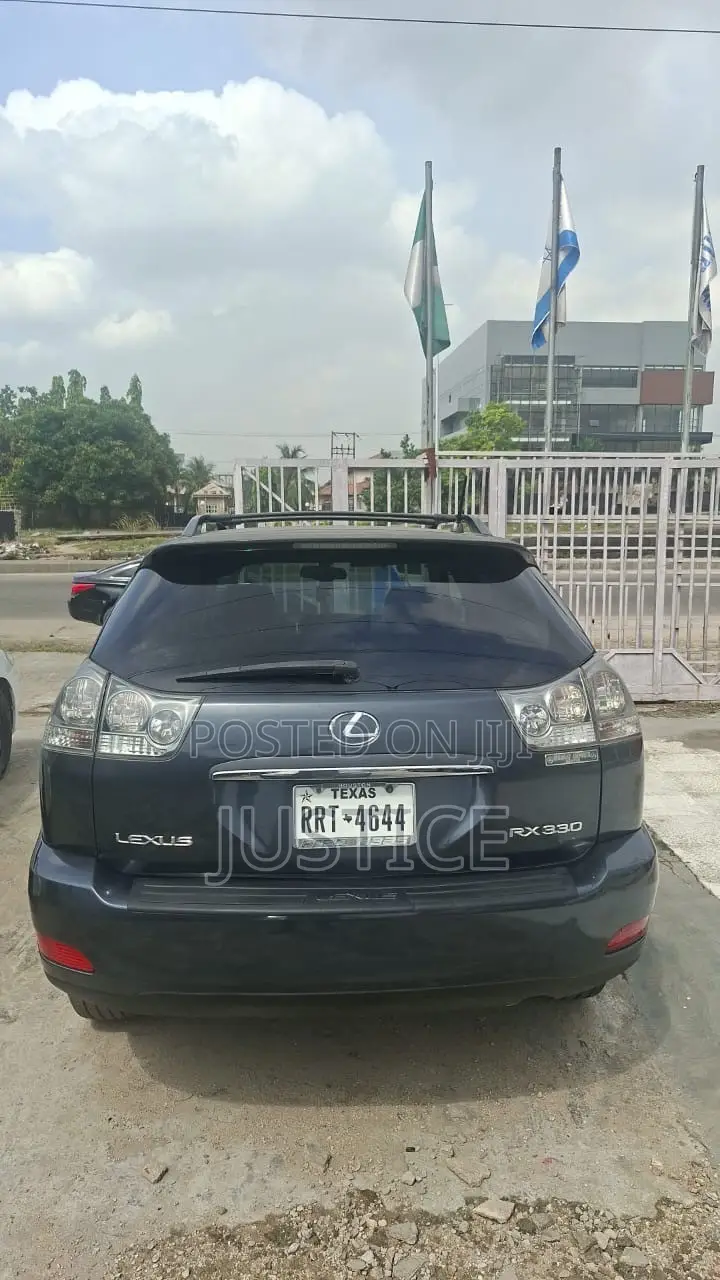Lexus RX 2004 Gray