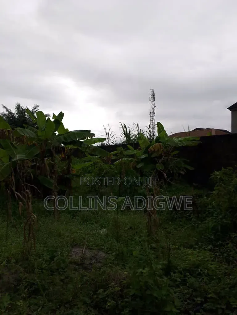 3 Plots Fenced Together for Sale in Awuyaya