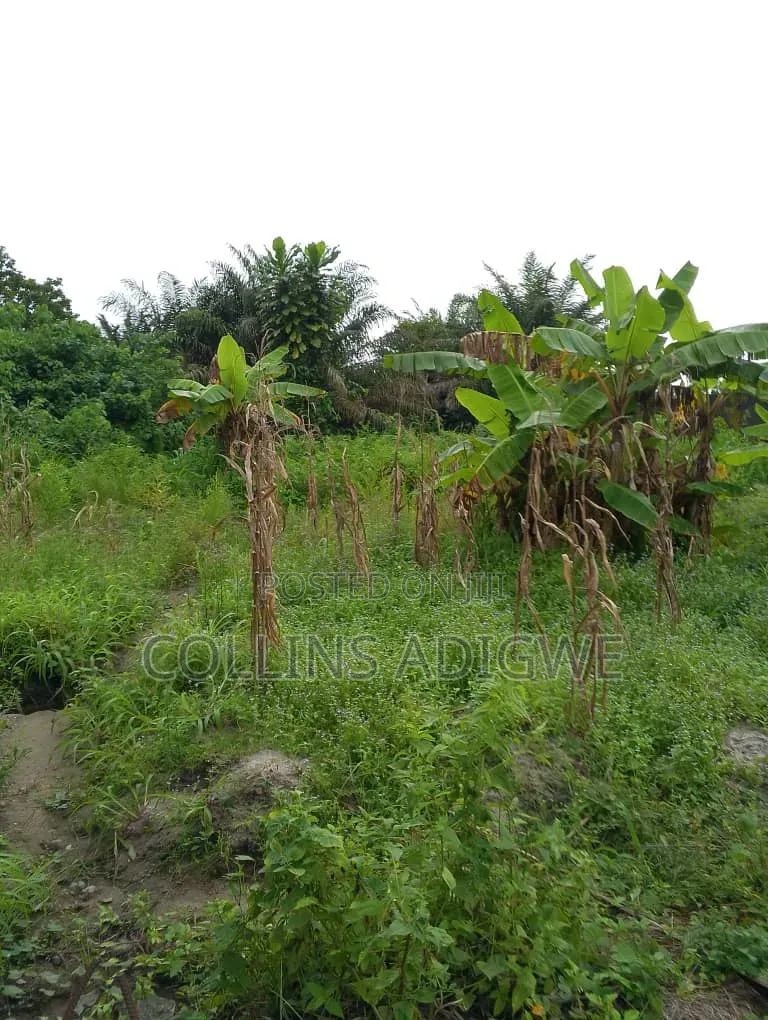 3 Plots Fenced Together for Sale in Awuyaya