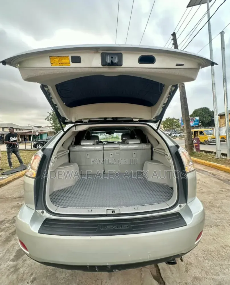 Lexus RX 2008 Gray