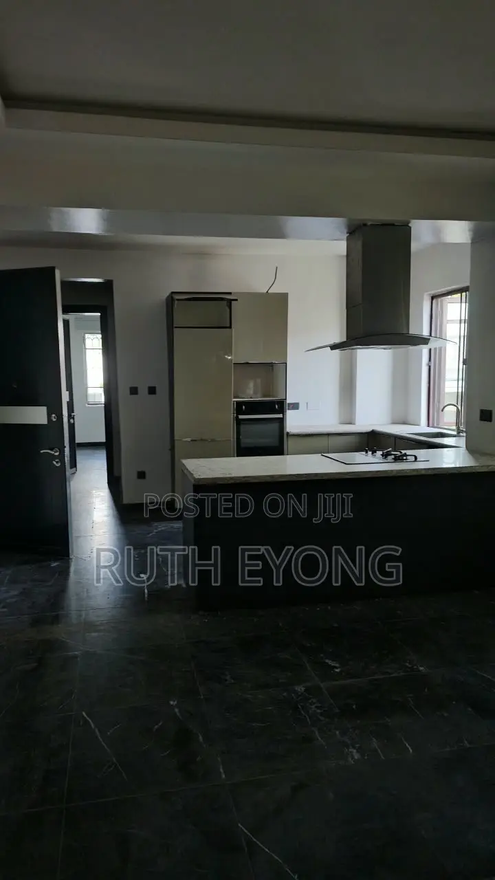 2bdrm Apartment in Banana Island for rent